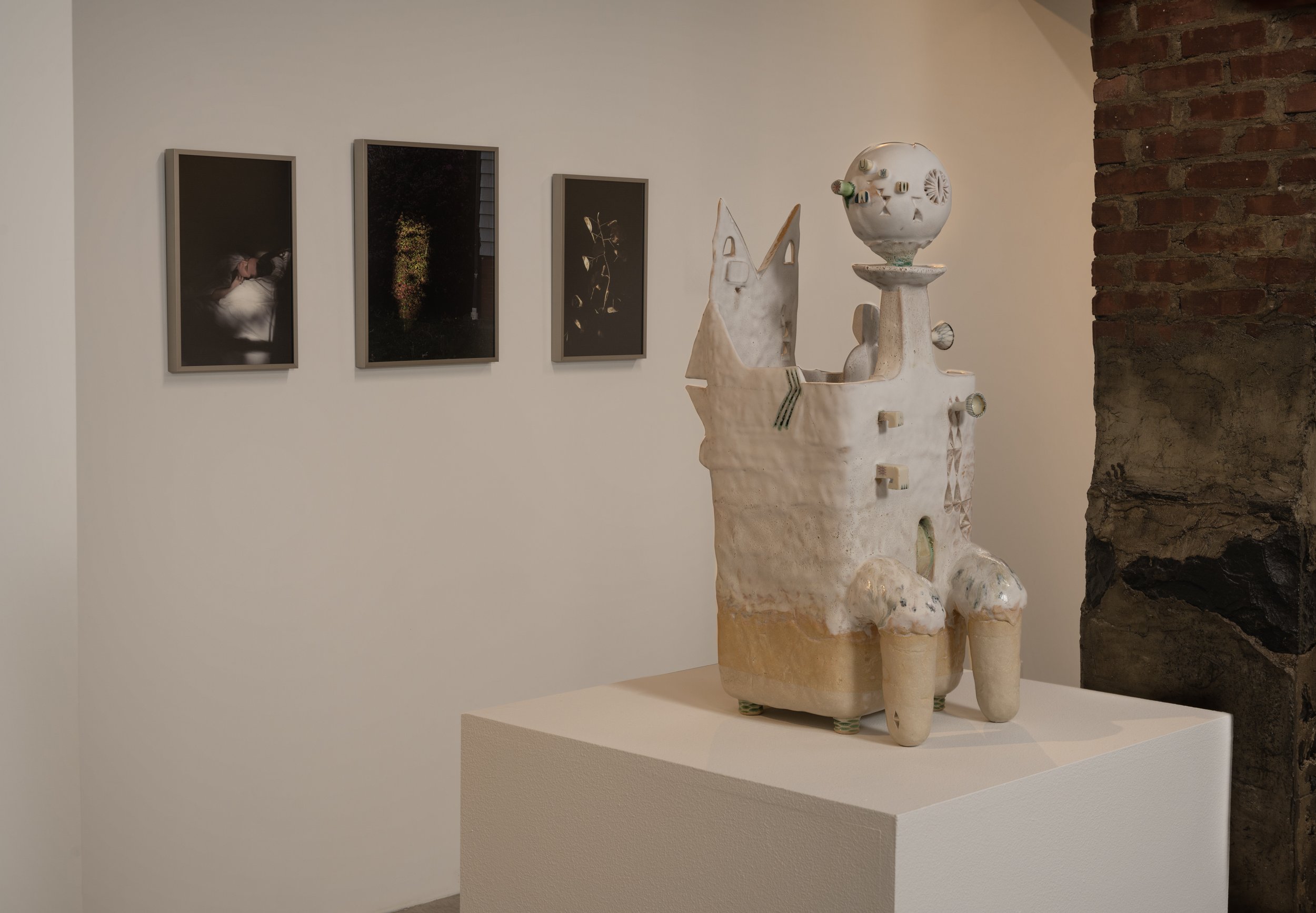 Elizabeth McGrady & Michelle Summers: Other Lands