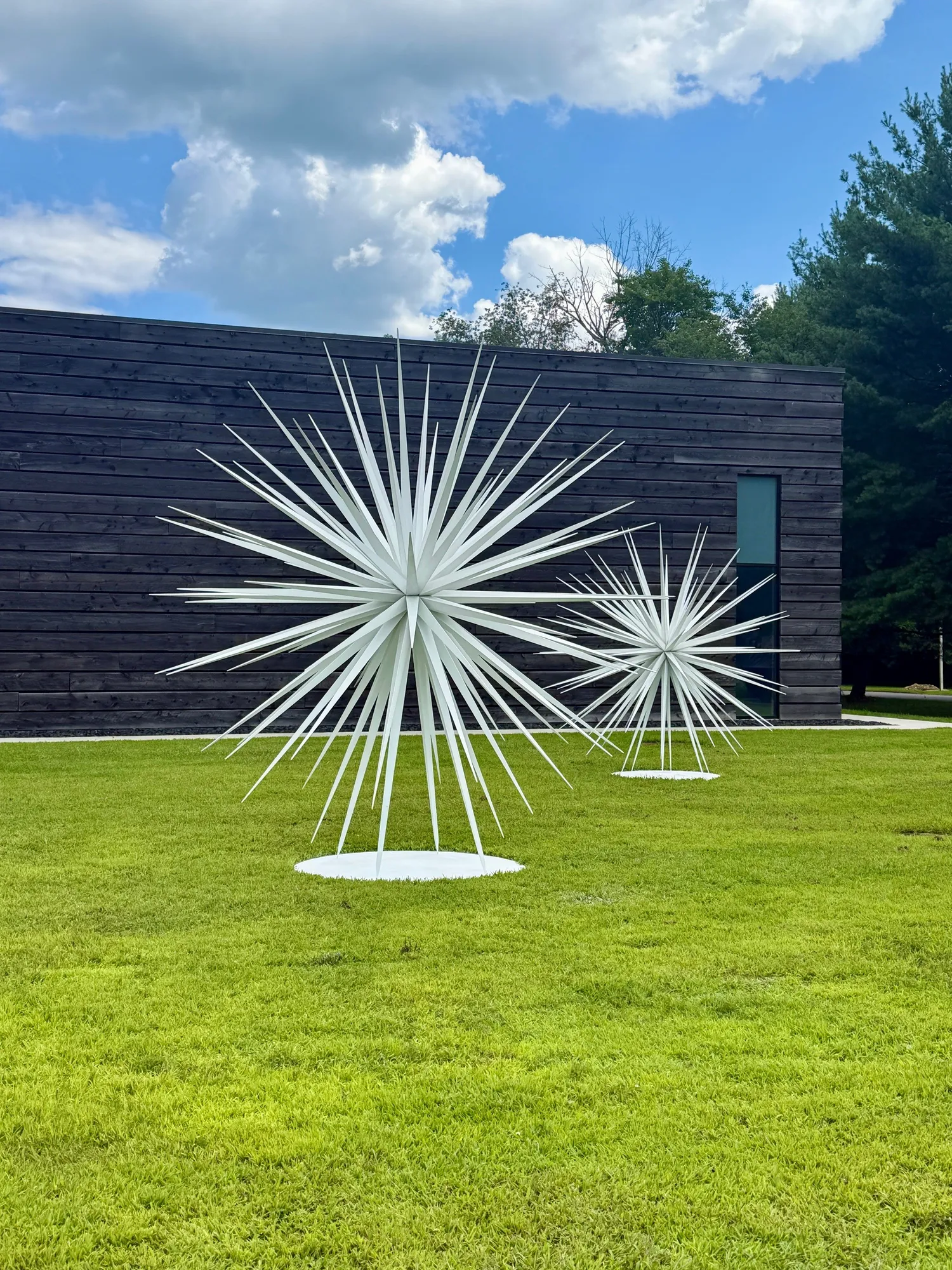 Windseeds 12' and 10'